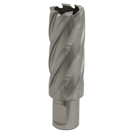Worksafe RBHSS25L Worksafe® 25mm HSS Mag Drill Bit Cut Depth 50mm