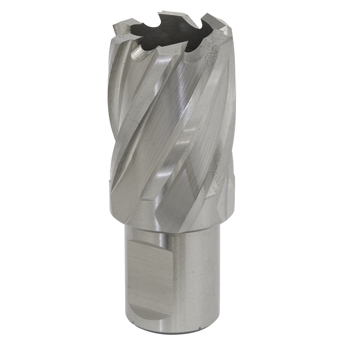 Worksafe RBHSS25S Worksafe® 25mm HSS Mag Drill Bit Cut Depth 25mm