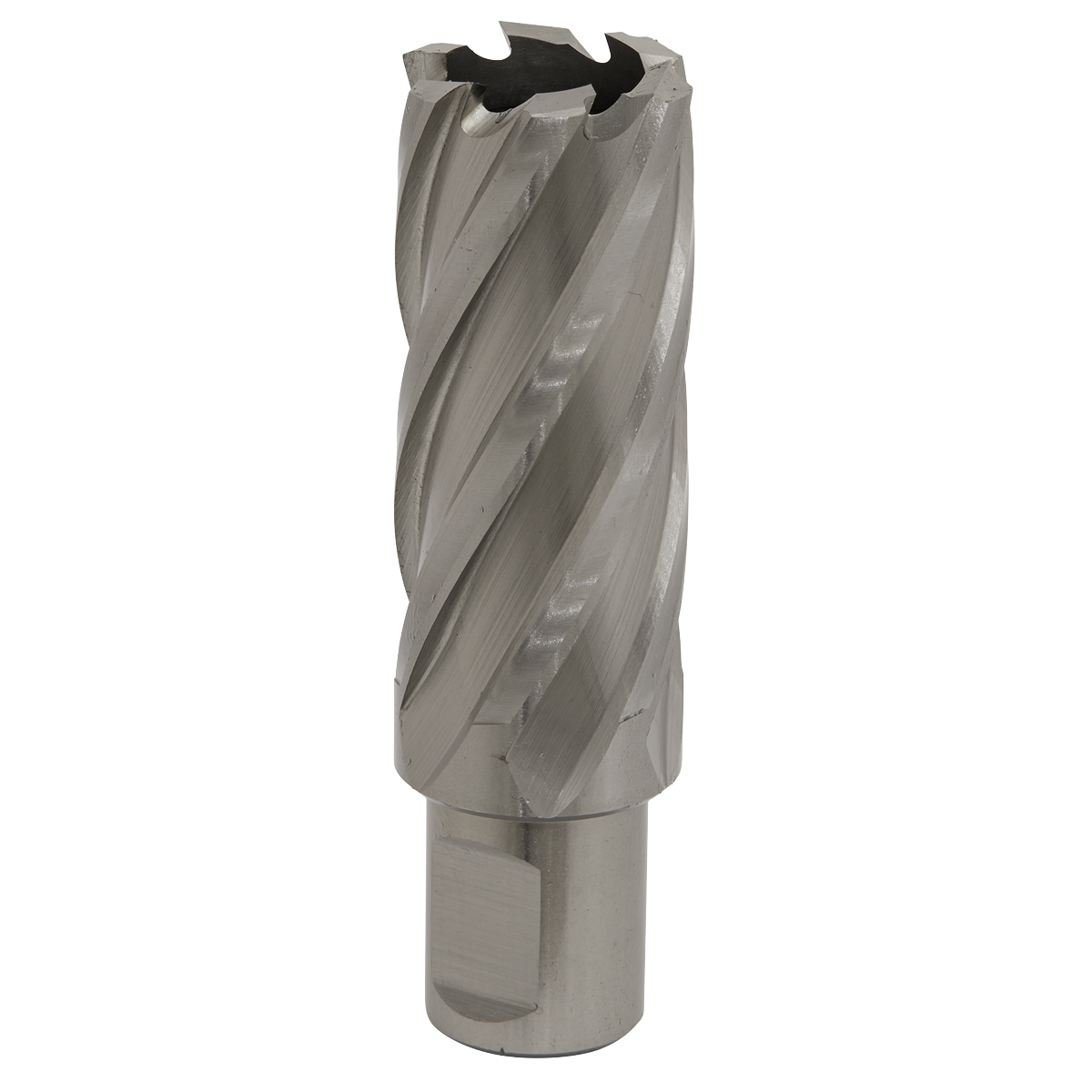Worksafe RBHSS26L Worksafe® 26mm HSS Mag Drill Bit Cut Depth 50mm