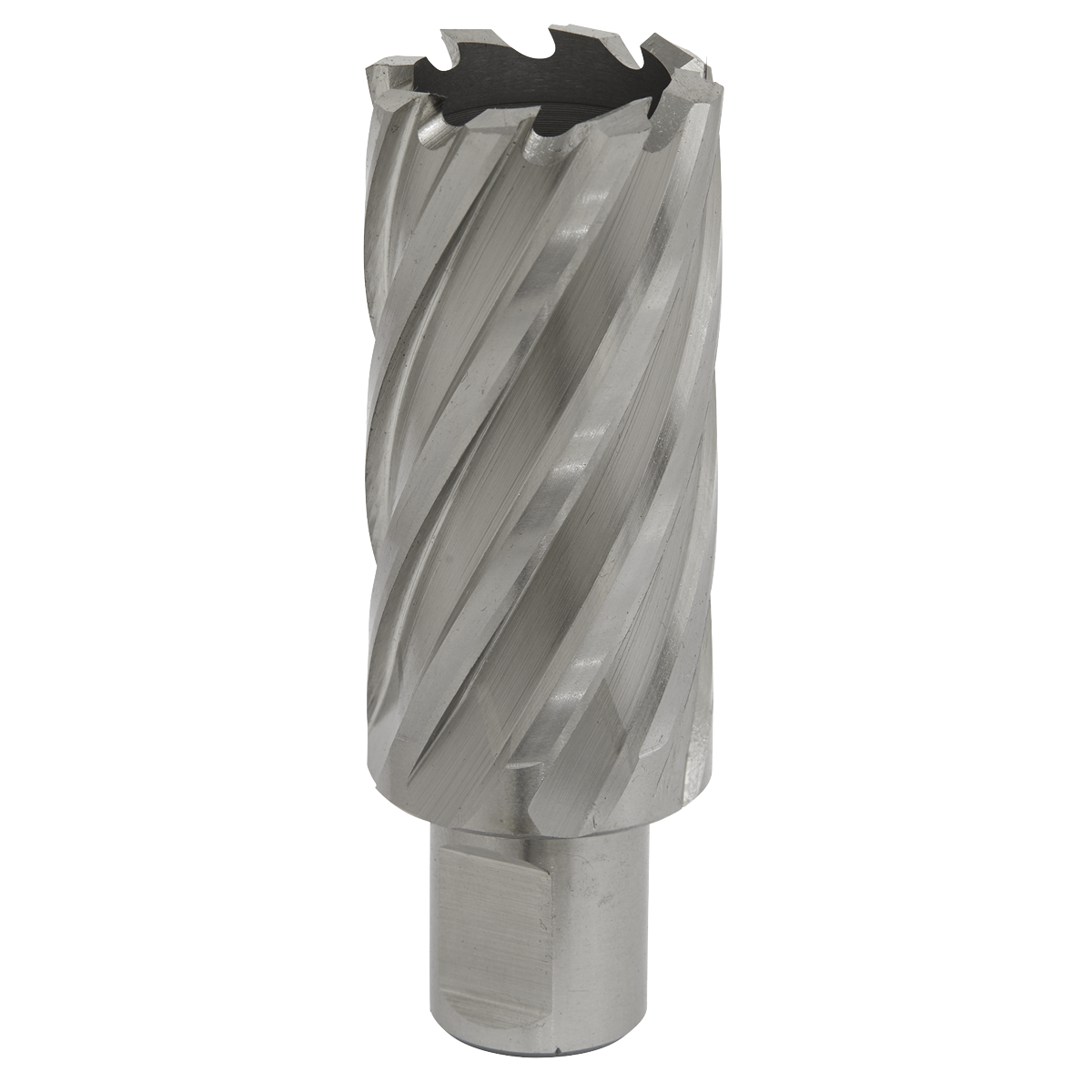 Worksafe RBHSS29L Worksafe® 29mm HSS Mag Drill Bit Cut Depth 50mm
