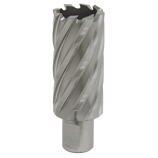 Worksafe RBHSS30L Worksafe® 30mm HSS Mag Drill Bit Cut Depth 50mm