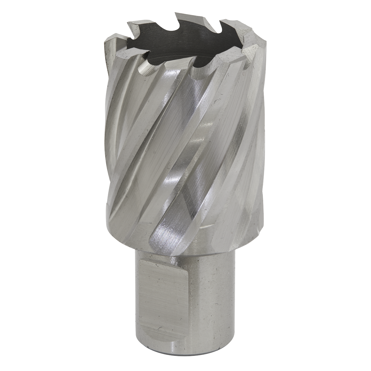 Worksafe RBHSS30S Worksafe® 30mm HSS Mag Drill Bit Cut Depth 25mm