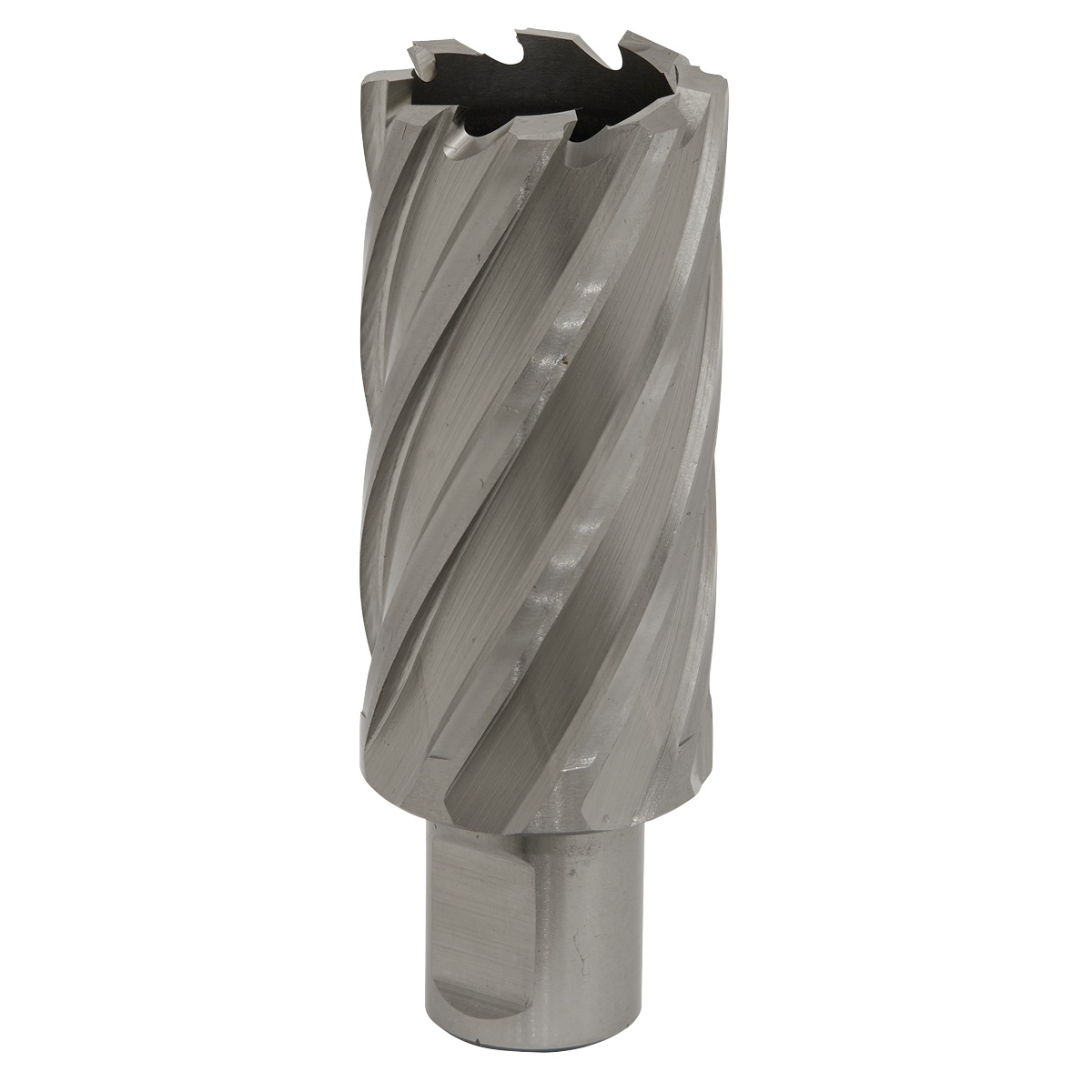 Worksafe RBHSS31L Worksafe® 31mm HSS Mag Drill Bit Cut Depth 50mm