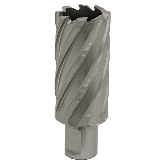 Worksafe RBHSS31L Worksafe® 31mm HSS Mag Drill Bit Cut Depth 50mm