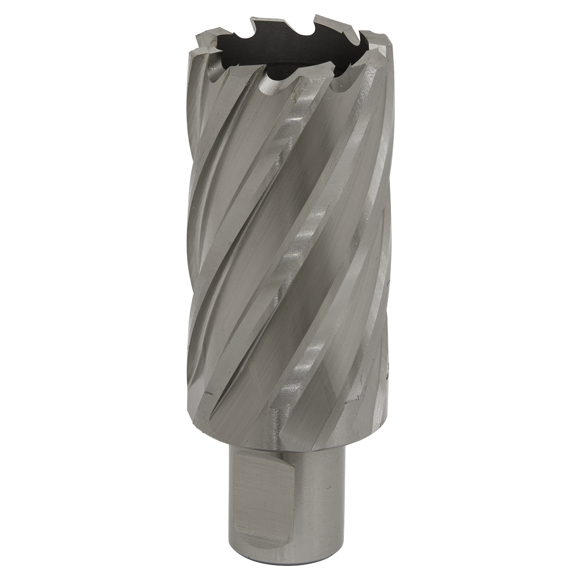 Worksafe RBHSS33L Worksafe® 33mm HSS Mag Drill Bit Cut Depth 50mm