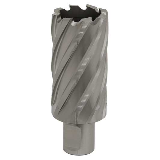 Worksafe RBHSS33L Worksafe® 33mm HSS Mag Drill Bit Cut Depth 50mm