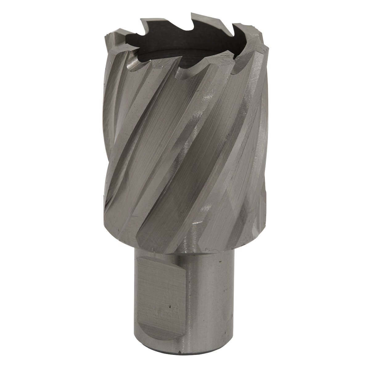 Worksafe RBHSS33S Worksafe® 33mm HSS Mag Drill Bit Cut Depth 25mm