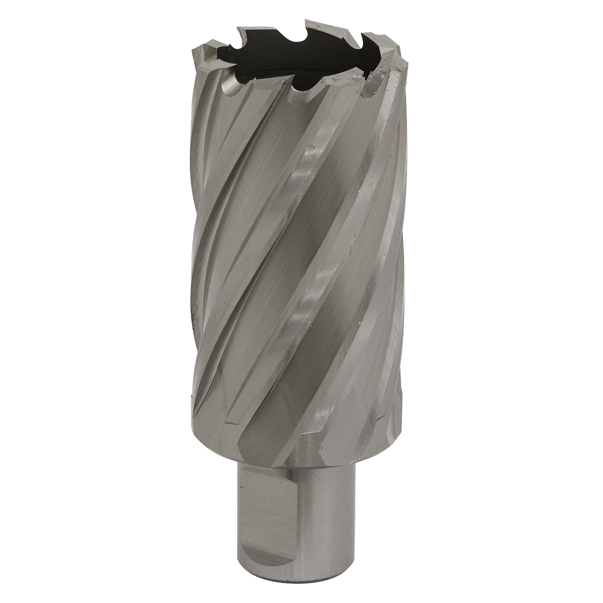 Worksafe RBHSS34L Worksafe® 34mm HSS Mag Drill Bit Cut Depth 50mm