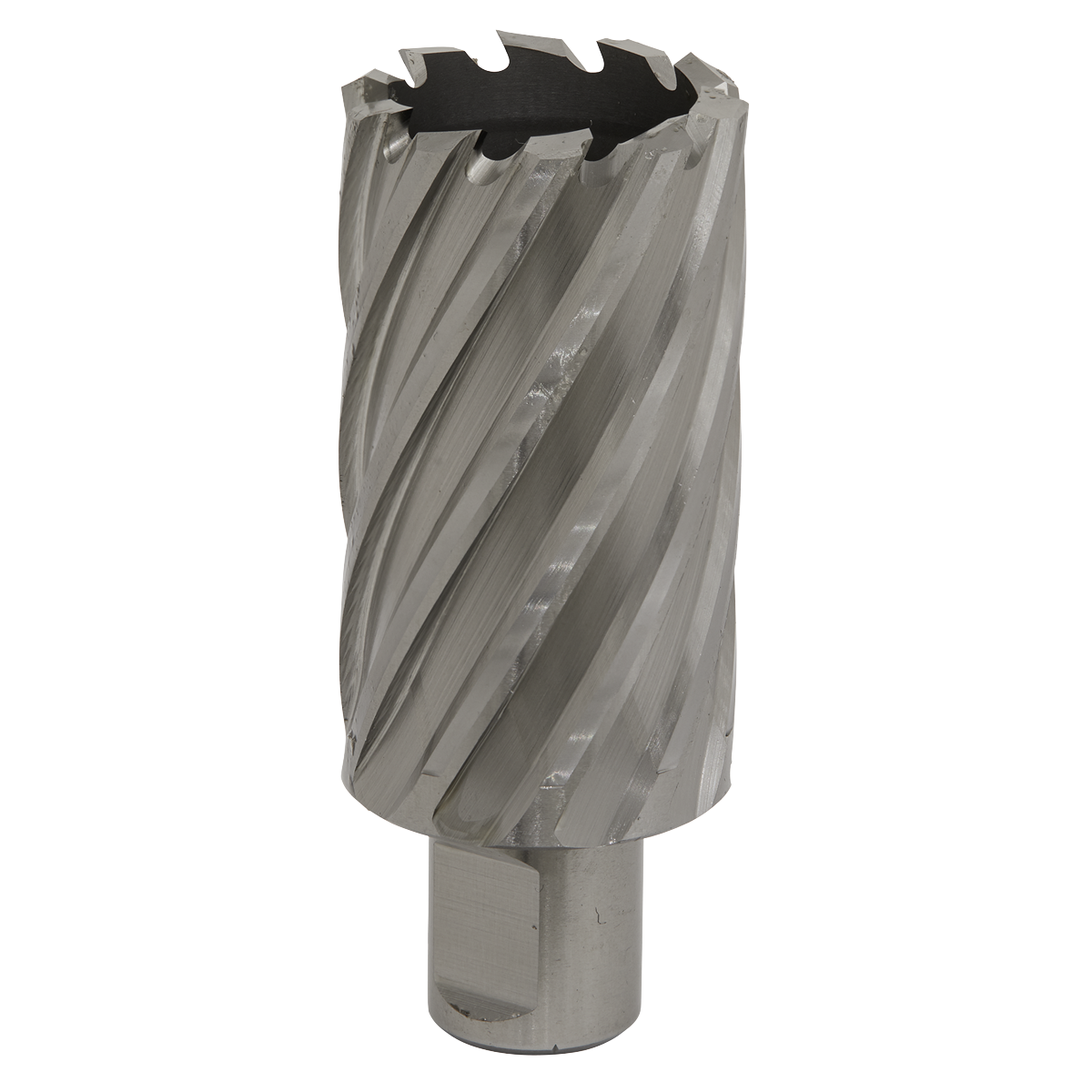 Worksafe RBHSS35L Worksafe® 35mm HSS Mag Drill Bit Cut Depth 50mm