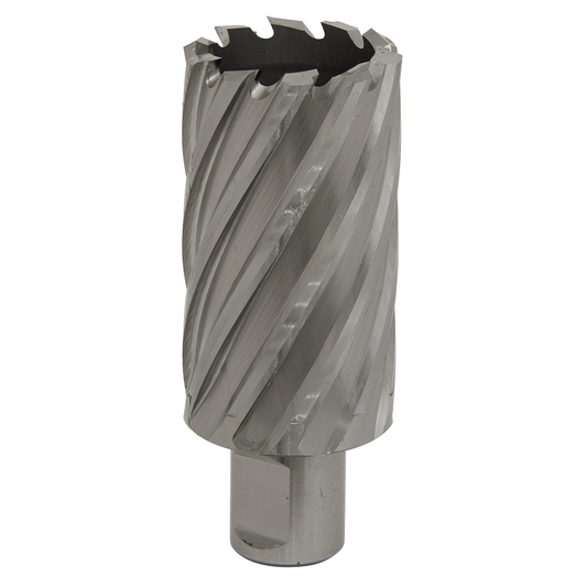Worksafe RBHSS35L Worksafe® 35mm HSS Mag Drill Bit Cut Depth 50mm