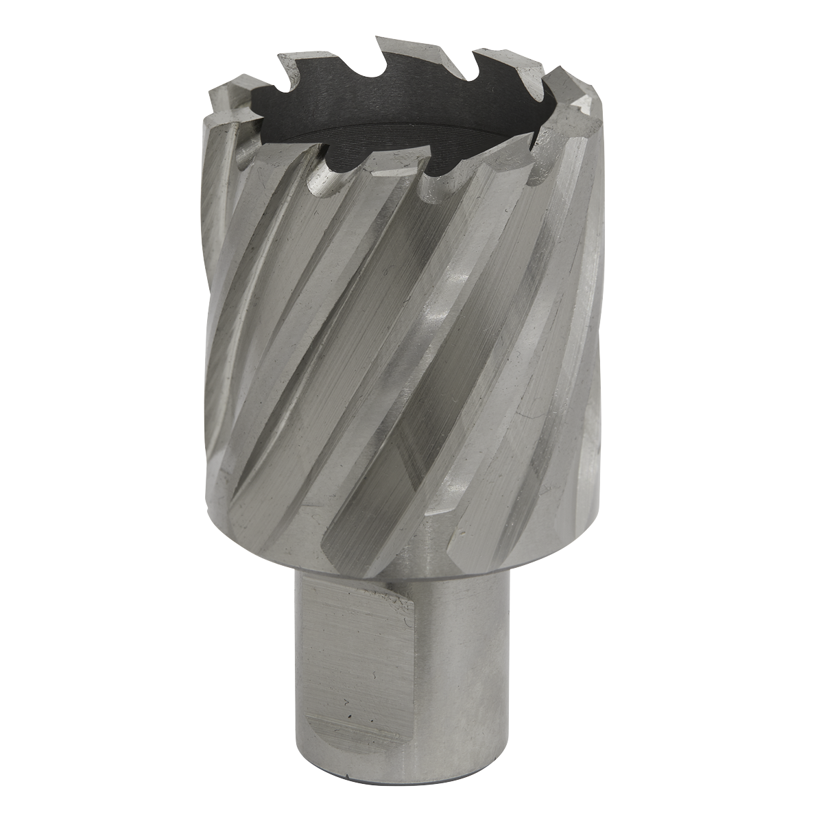 Worksafe RBHSS35S Worksafe® 35mm HSS Mag Drill Bit Cut Depth 25mm