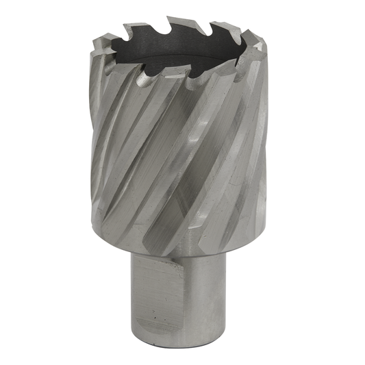 Worksafe RBHSS35S Worksafe® 35mm HSS Mag Drill Bit Cut Depth 25mm