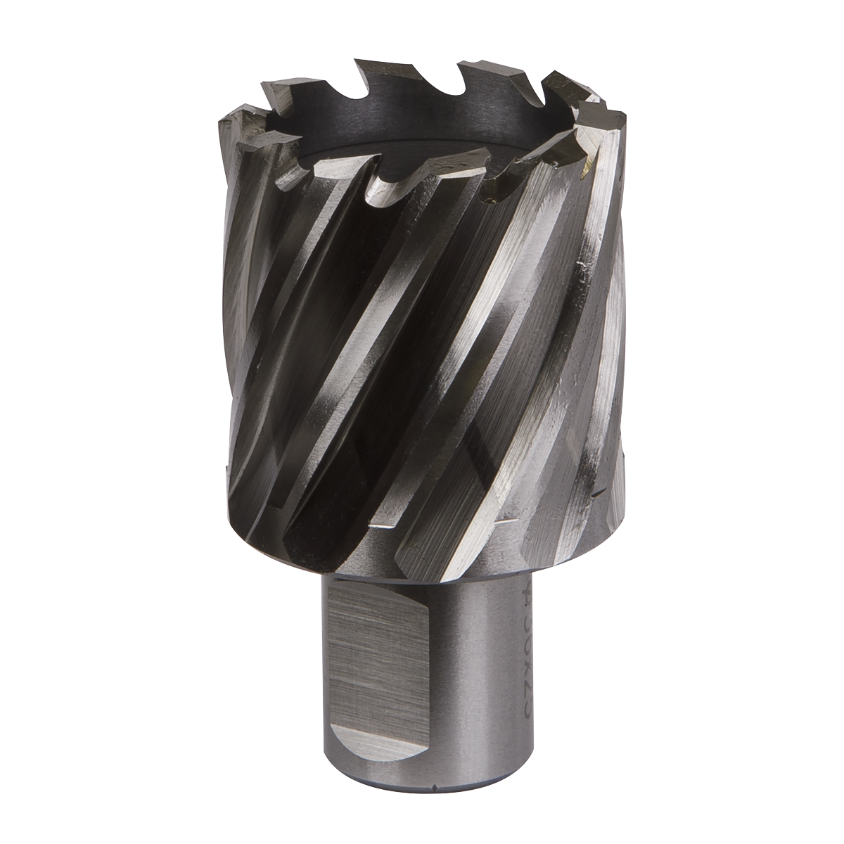 Worksafe RBHSS36S Worksafe® 36mm HSS Mag Drill Bit Cut Depth 25mm