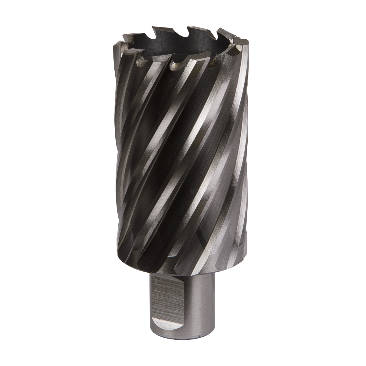 Worksafe RBHSS38L Worksafe® 38mm HSS Mag Drill Bit Cut Depth 50mm