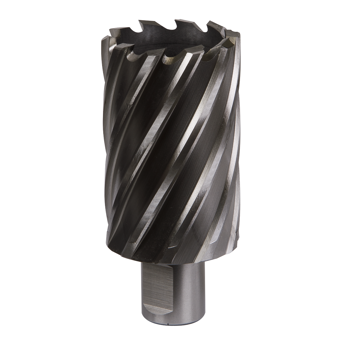 Worksafe RBHSS40L Worksafe® 40mm HSS Mag Drill Bit Cut Depth 50mm