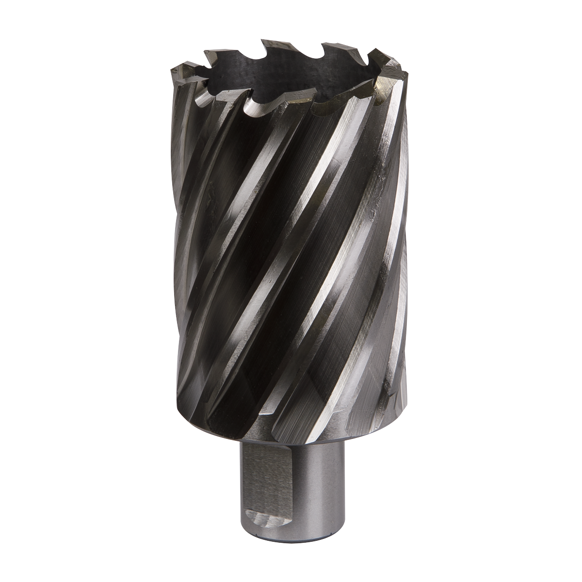 Worksafe RBHSS42L Worksafe® 42mm HSS Mag Drill Bit Cut Depth 50mm