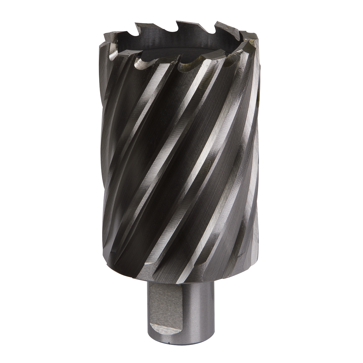 Worksafe RBHSS44L Worksafe® 44mm HSS Mag Drill Bit Cut Depth 50mm