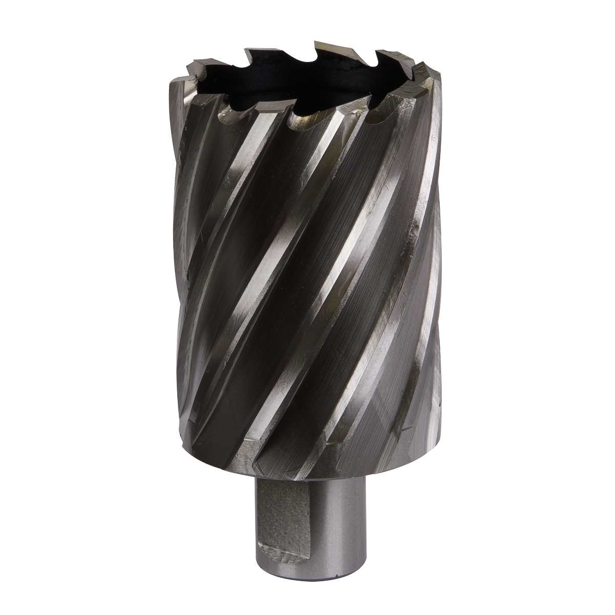 Worksafe RBHSS45L Worksafe® 45mm HSS Mag Drill Bit Cut Depth 50mm