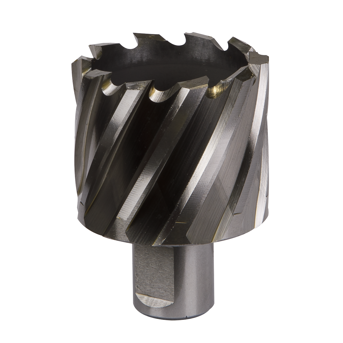 Worksafe RBHSS45S Worksafe® 45mm HSS Mag Drill Bit Cut Depth 25mm