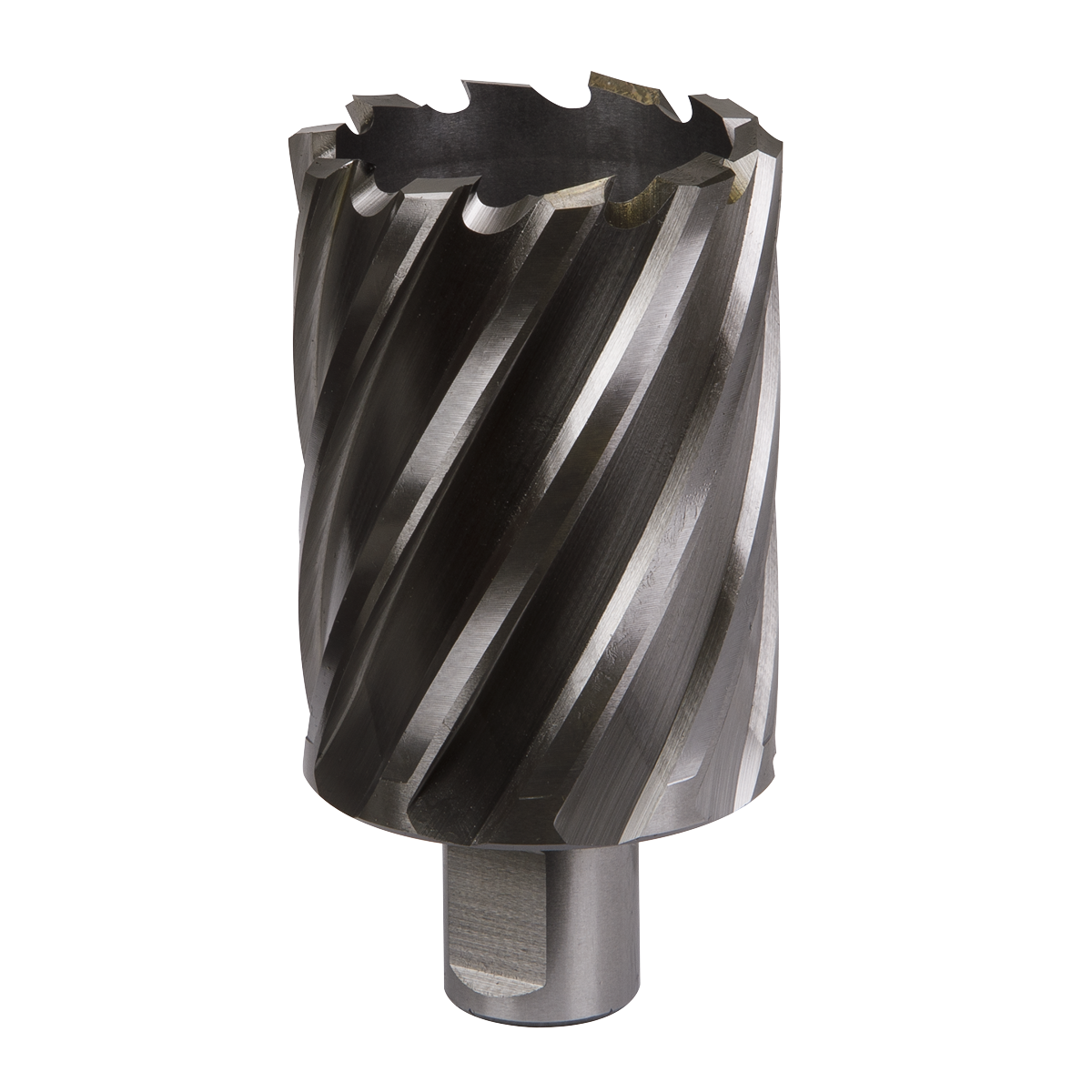 Worksafe RBHSS46L Worksafe® 46mm HSS Mag Drill Bit Cut Depth 50mm