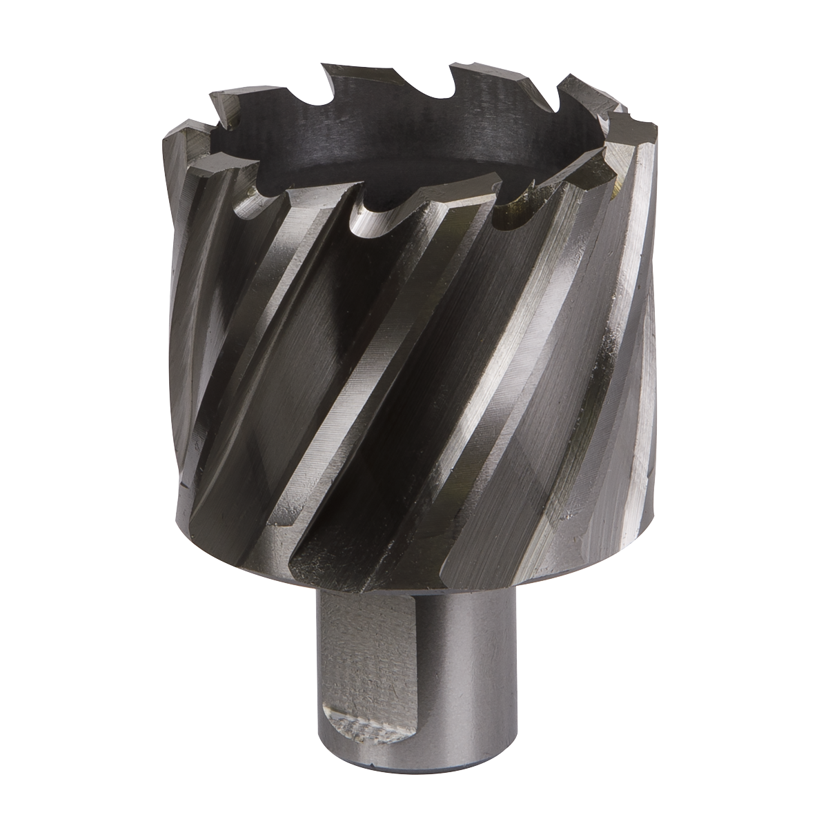 Worksafe RBHSS46S Worksafe® 46mm HSS Mag Drill Bit Cut Depth 25mm