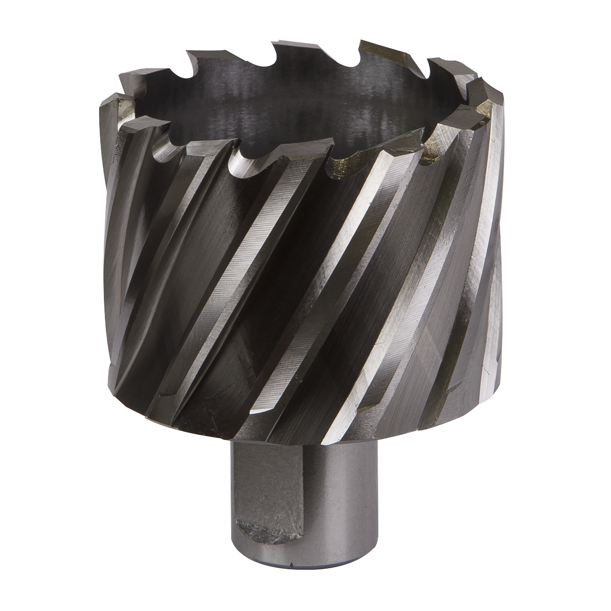 Worksafe RBHSS51S Worksafe® 51mm HSS Mag Drill Bit Cut Depth 25mm
