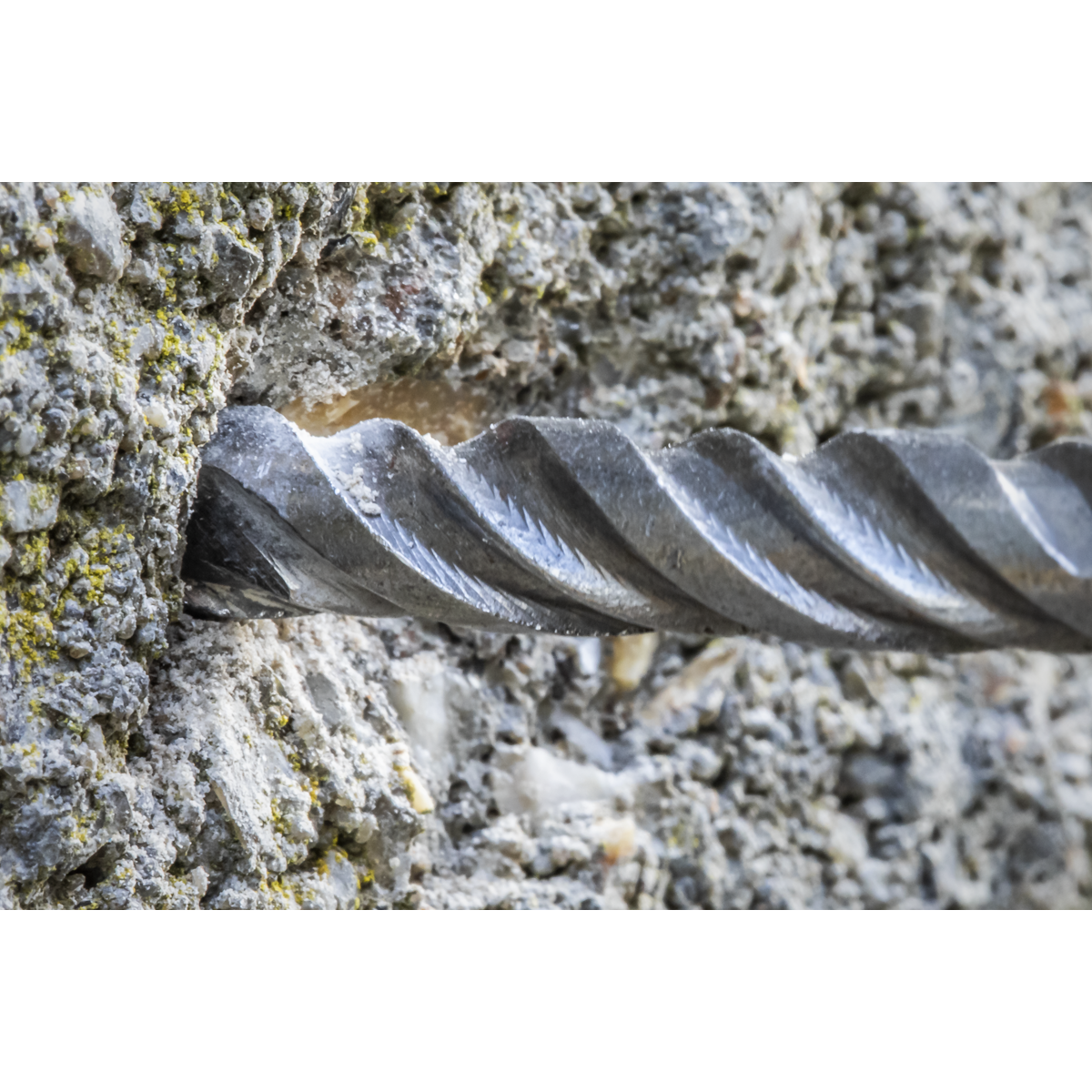 Worksafe SDS6X160 Worksafe® SDS Plus Drill Bit 6 x 160mm